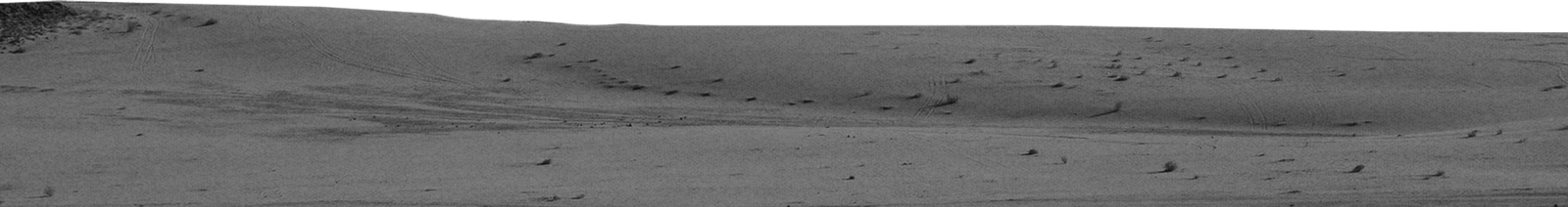 Orbita Estudio Agencia de Marketing Digital fondo